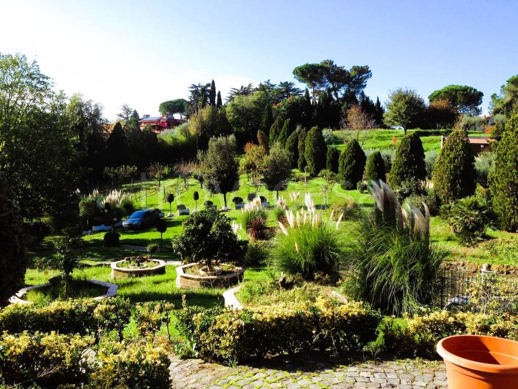 immagine annuncio 3 di 7