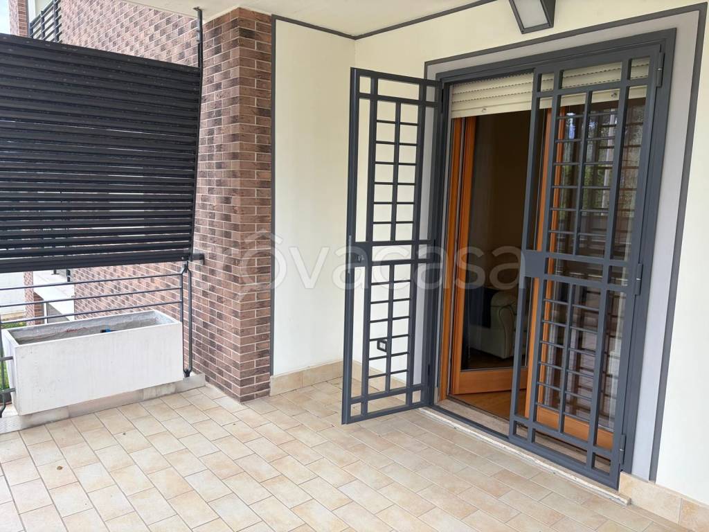 immagine annuncio 5 di 14