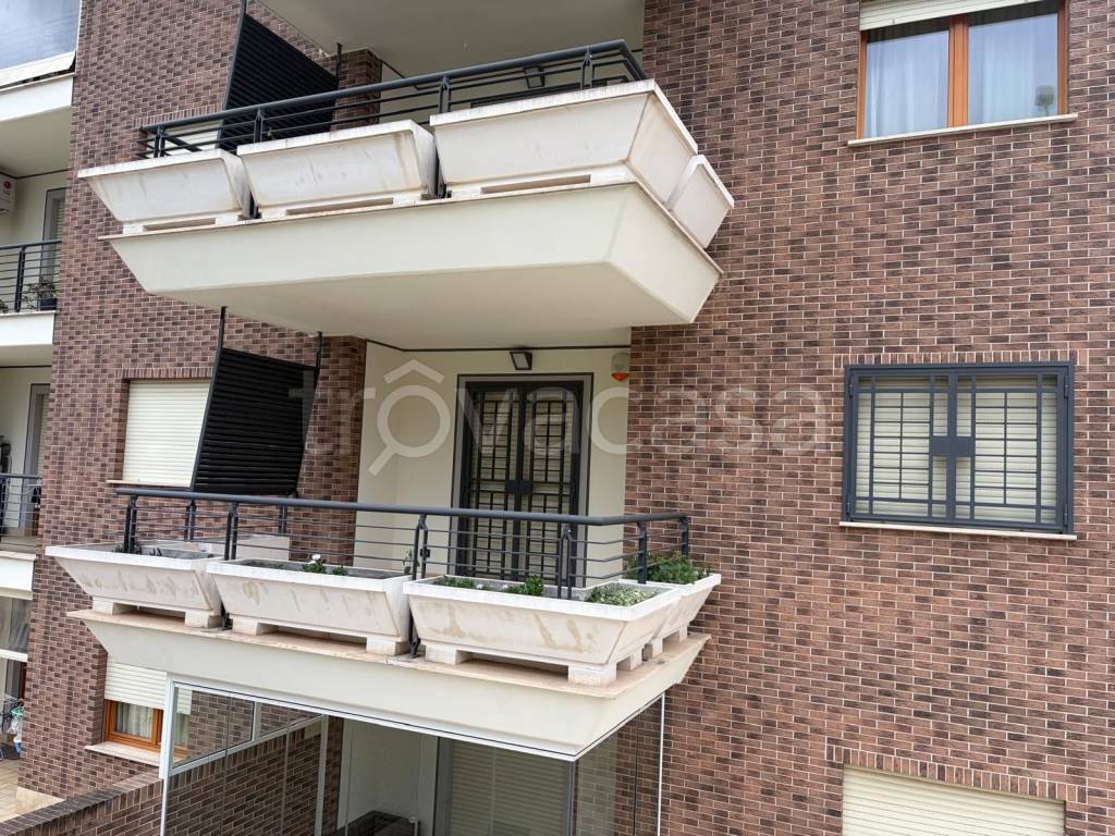 immagine annuncio 10 di 14