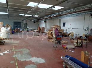 immagine annuncio 4 di 6