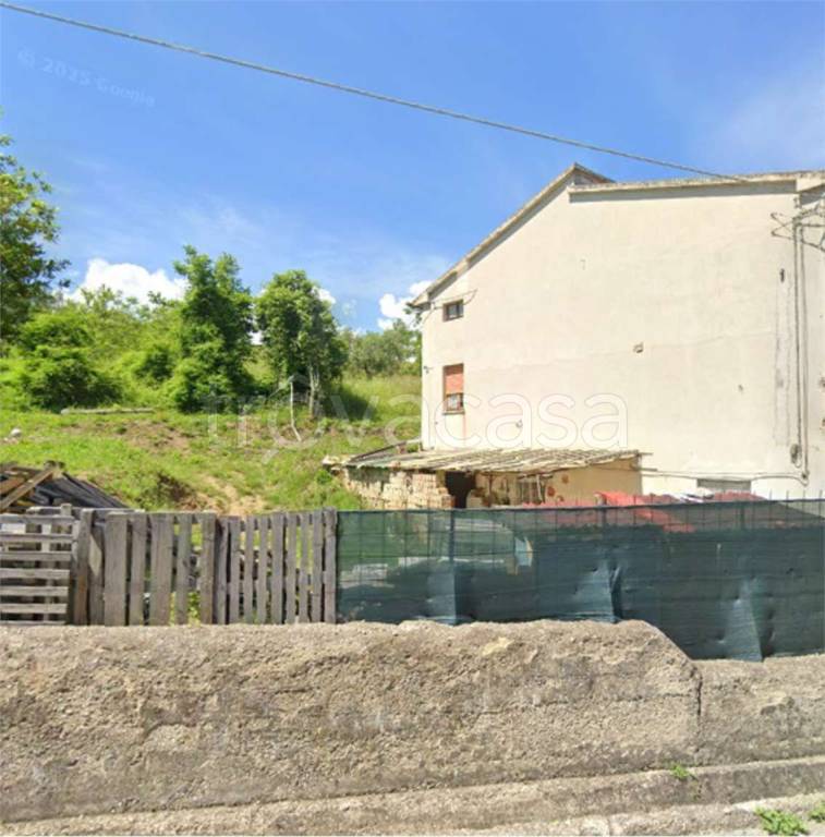 immagine annuncio 5 di 14
