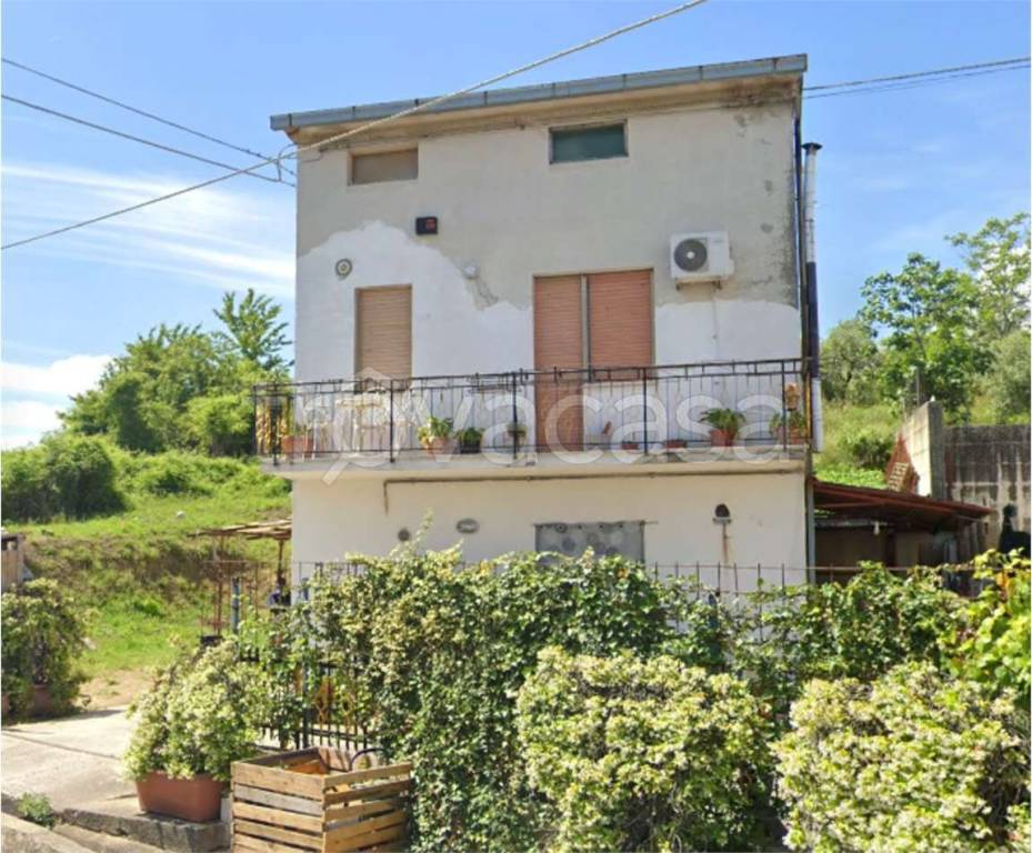 immagine annuncio 9 di 14