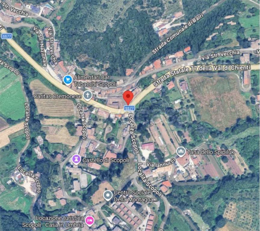 immagine annuncio 11 di 14