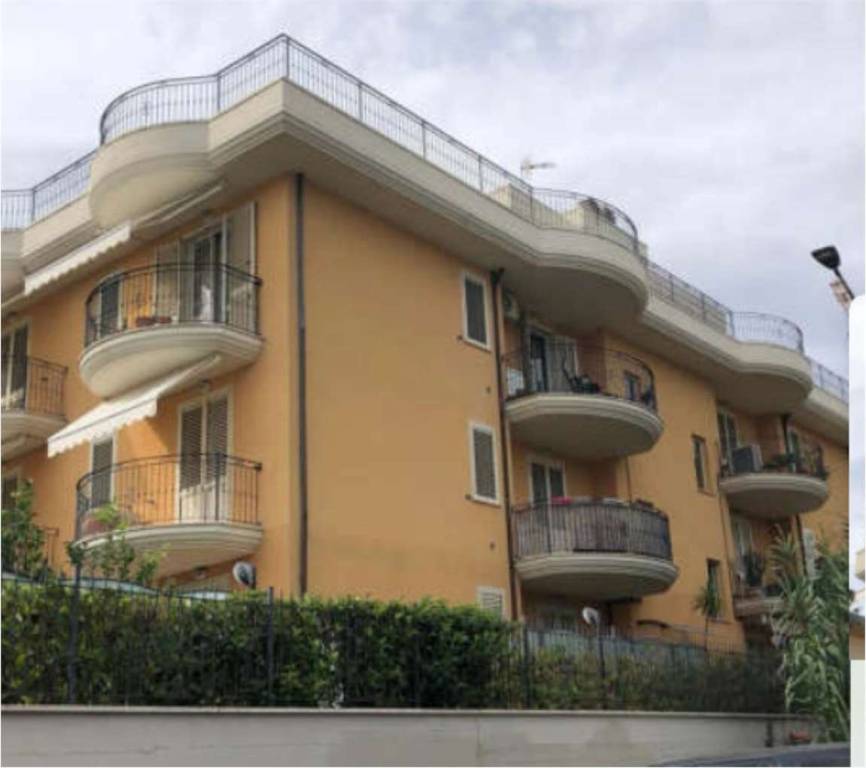 immagine annuncio 2 di 12