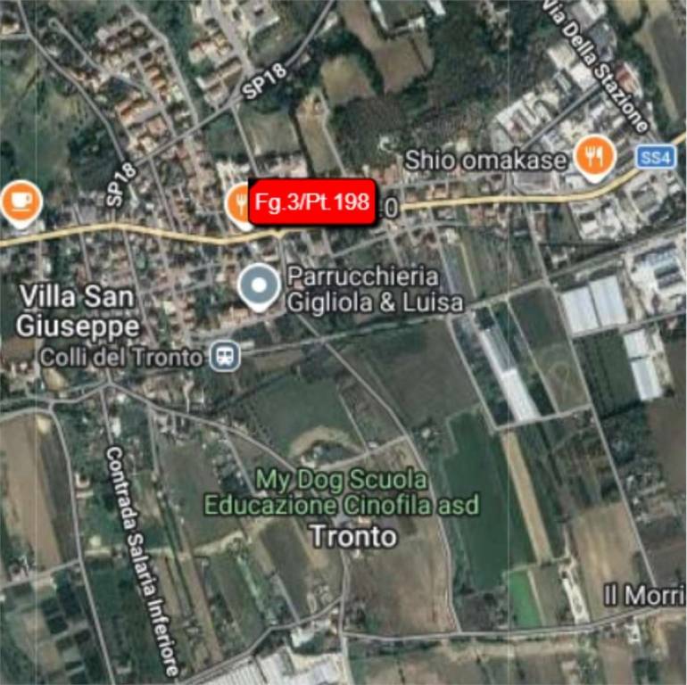 immagine annuncio 9 di 13
