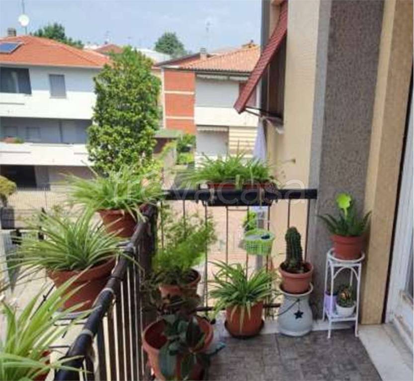 immagine annuncio 7 di 14