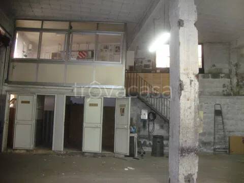 immagine annuncio 2 di 9