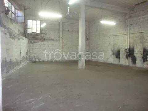 immagine annuncio 5 di 9