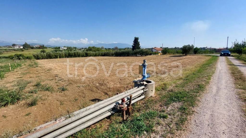 immagine annuncio 1 di 4