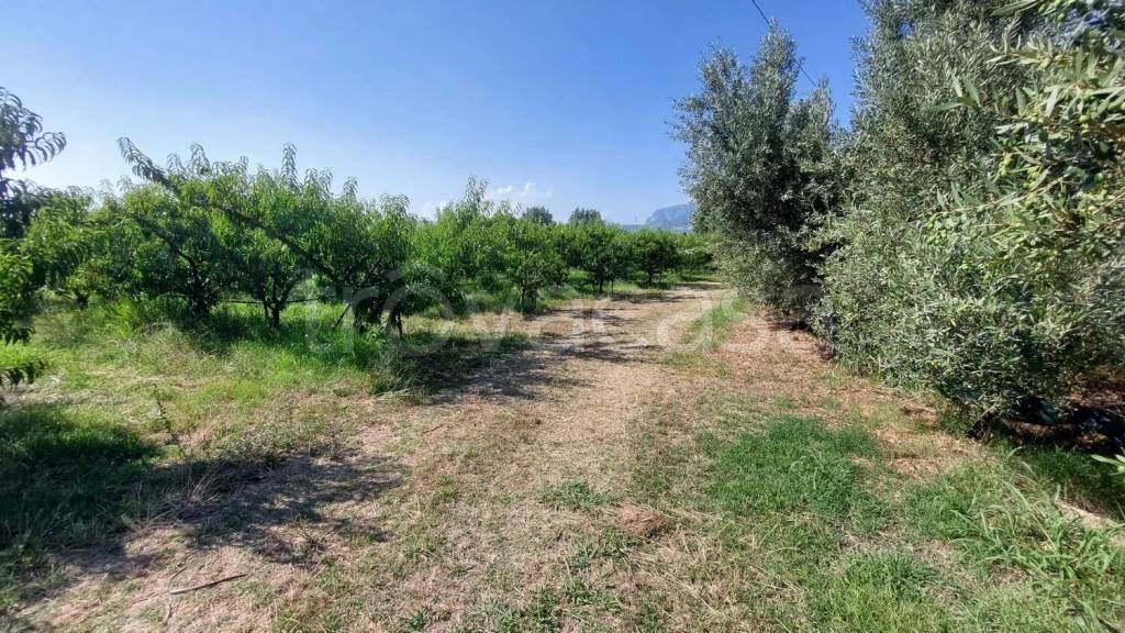 immagine annuncio 3 di 6