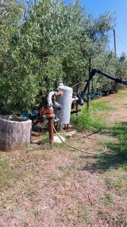 immagine annuncio 4 di 6