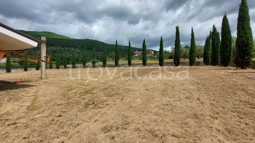 immagine annuncio 6 di 7