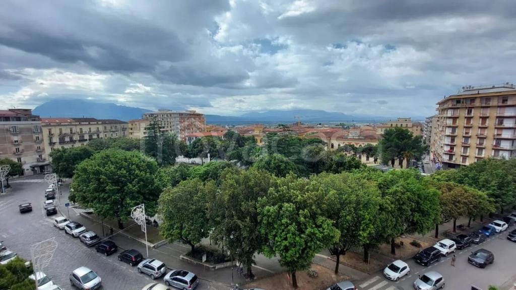 immagine annuncio 5 di 8