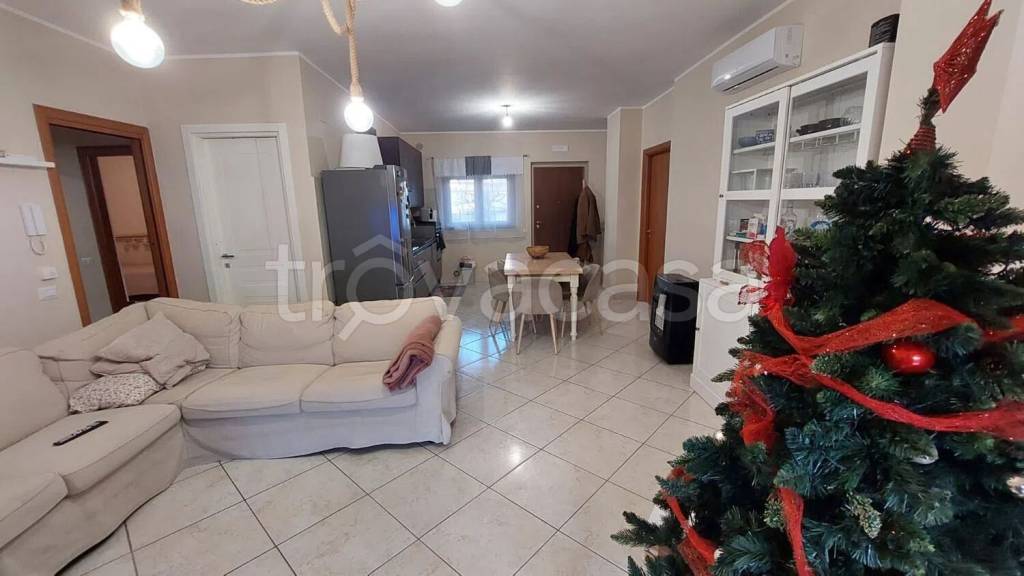 immagine annuncio 2 di 14