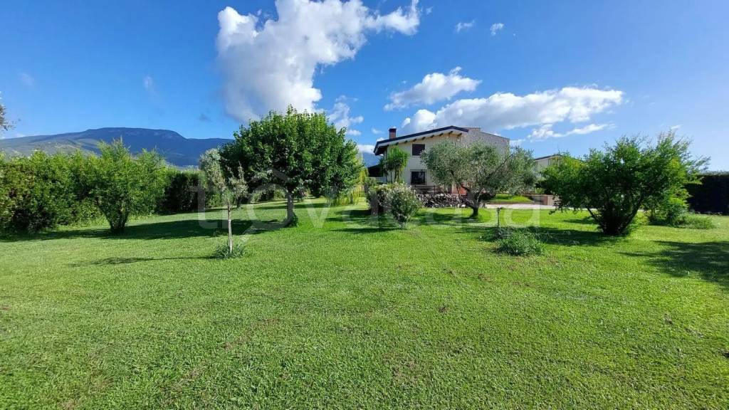 immagine annuncio 3 di 14