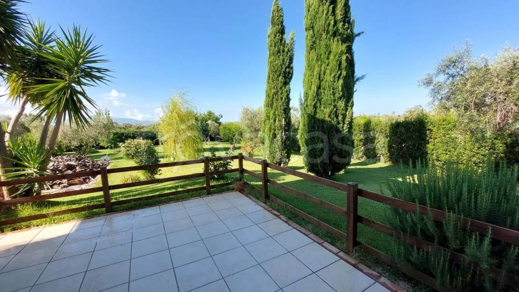 immagine annuncio 4 di 14