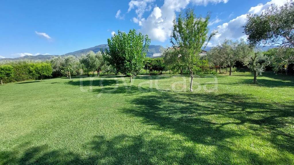 immagine annuncio 7 di 14