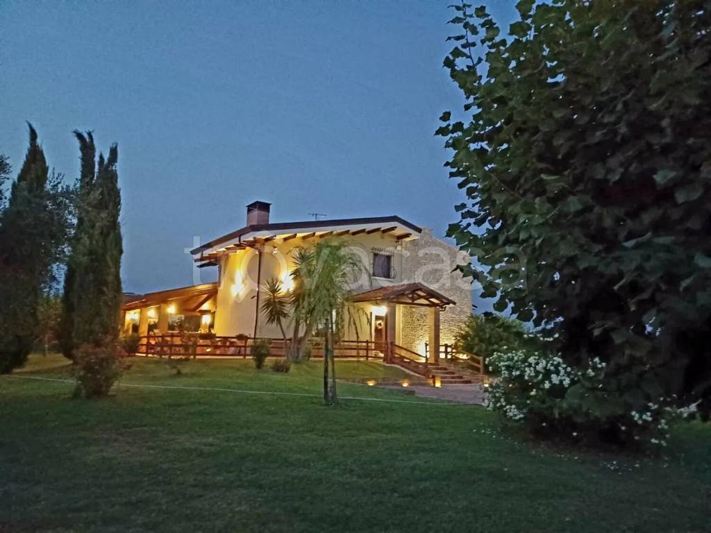 immagine annuncio 9 di 14