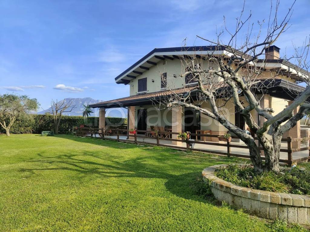 immagine annuncio 12 di 14