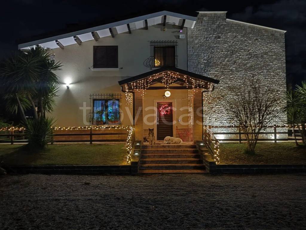 immagine annuncio 13 di 14