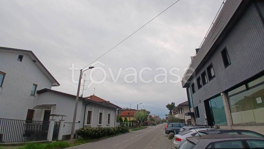 immagine annuncio 5 di 11