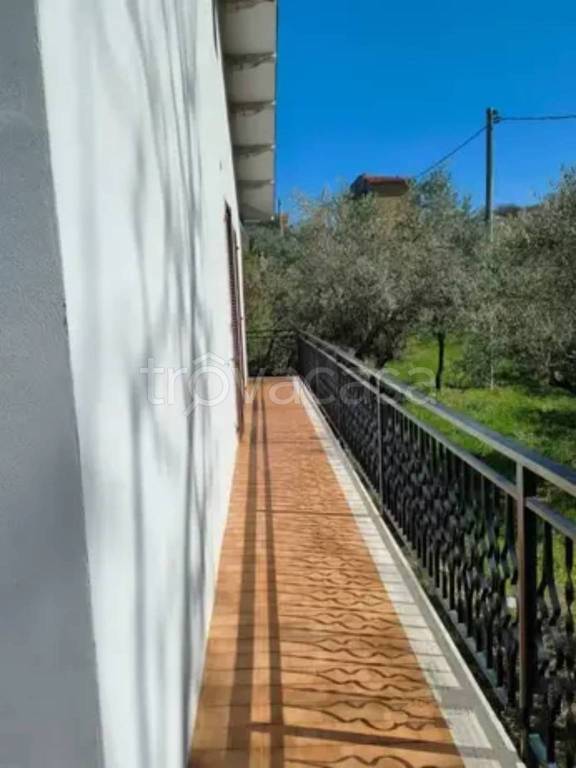 immagine annuncio 5 di 6