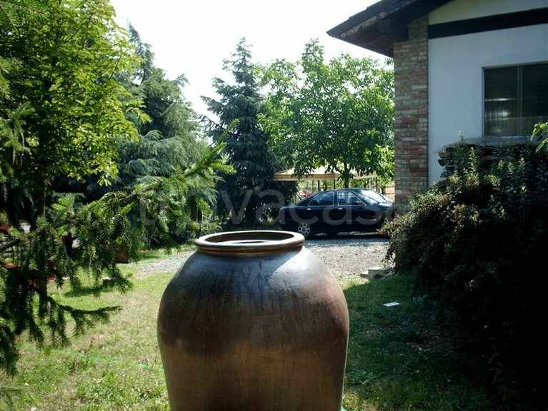 immagine annuncio 3 di 13