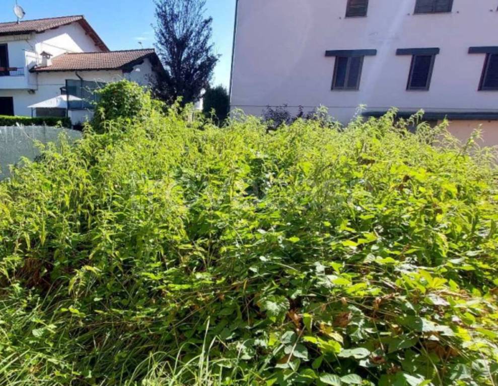immagine annuncio 5 di 11