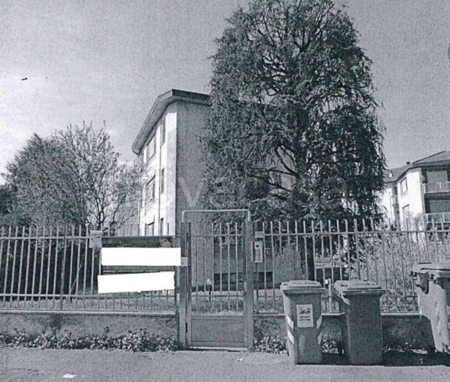 immagine annuncio 3 di 11