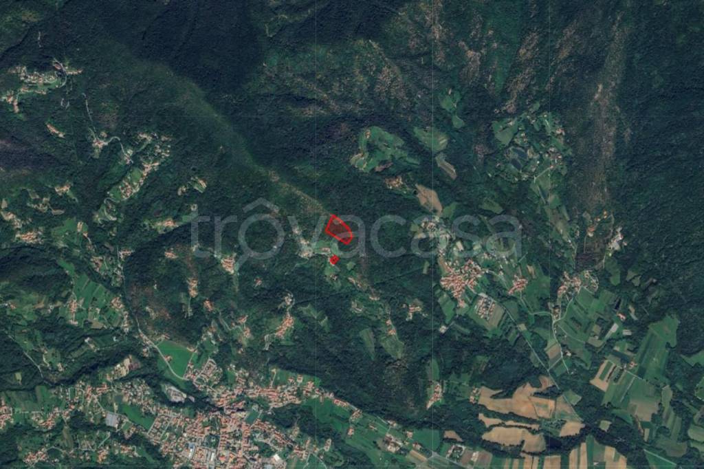 immagine annuncio 3 di 6