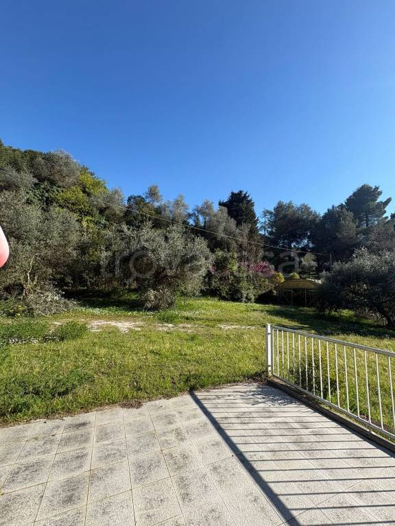immagine annuncio 2 di 9