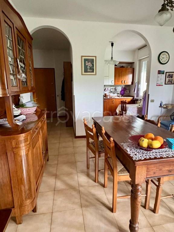 immagine annuncio 2 di 12