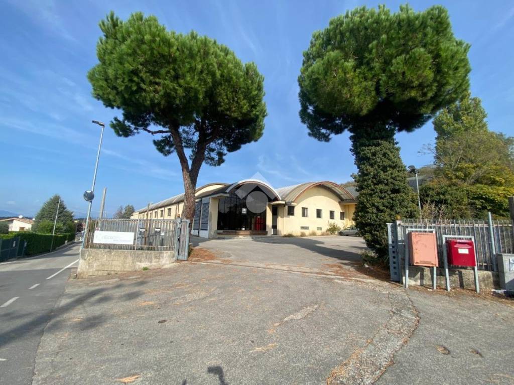 immagine annuncio 10 di 15