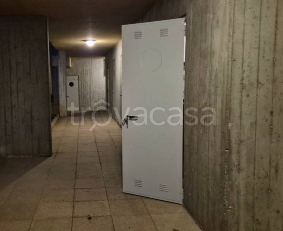 immagine annuncio 7 di 13