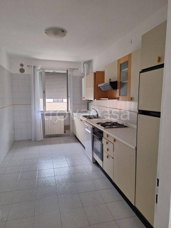 immagine annuncio 5 di 13