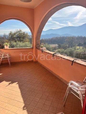 immagine annuncio 11 di 14