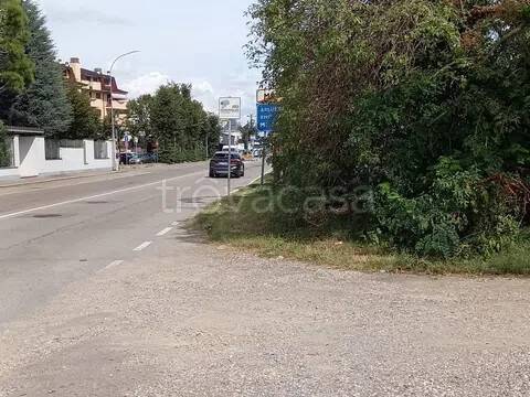 immagine annuncio 5 di 7