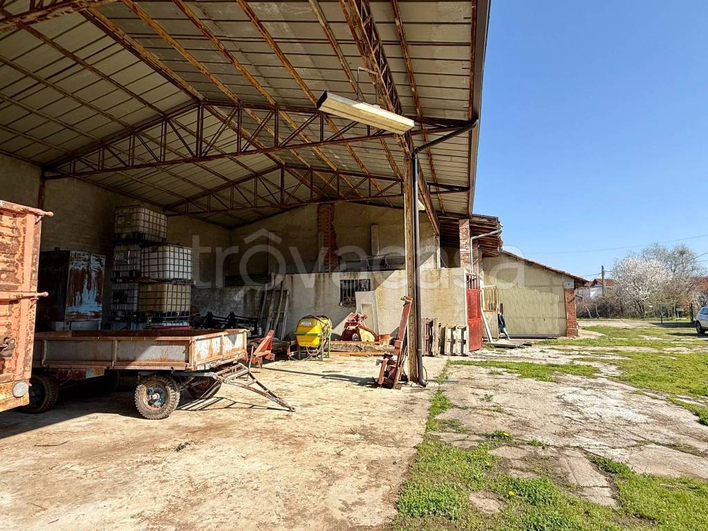 immagine annuncio 10 di 15