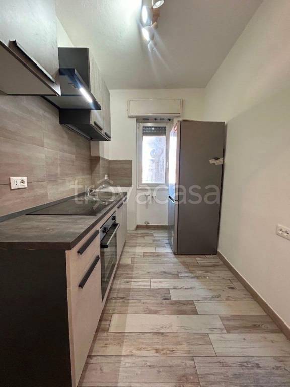 immagine annuncio 3 di 14