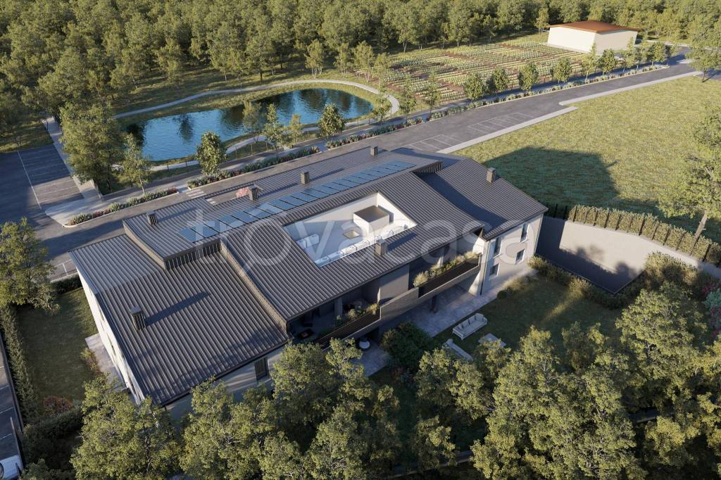 immagine annuncio 1 di 12