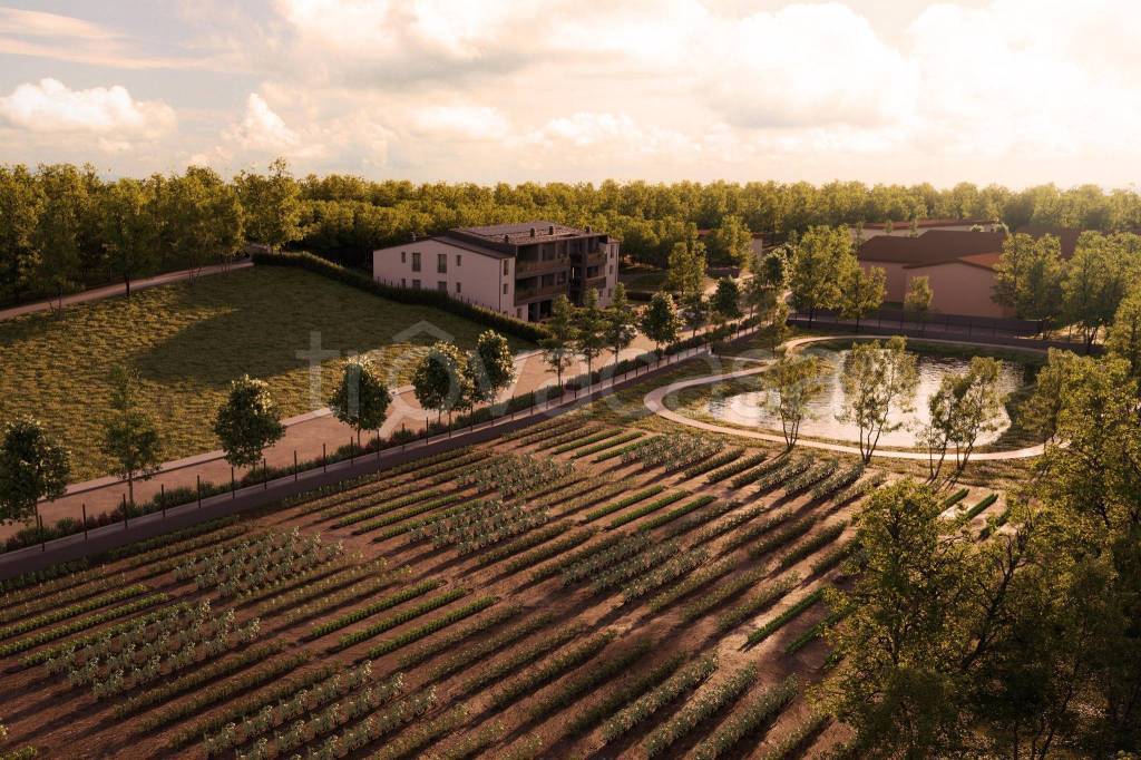 immagine annuncio 2 di 12