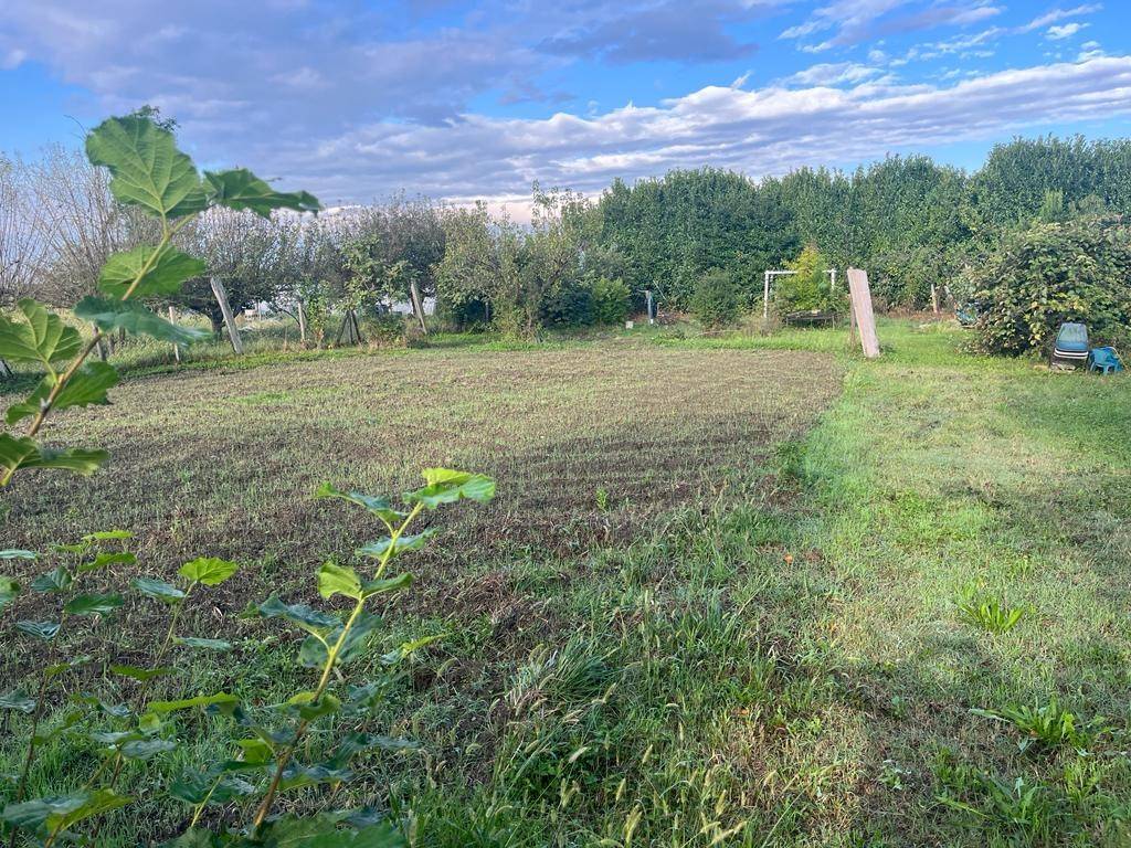 immagine annuncio 1 di 12