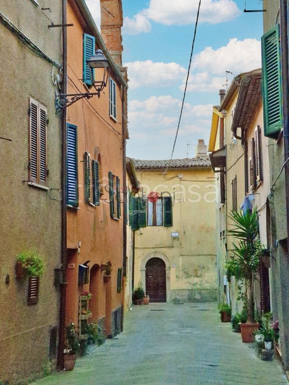 immagine annuncio 4 di 14