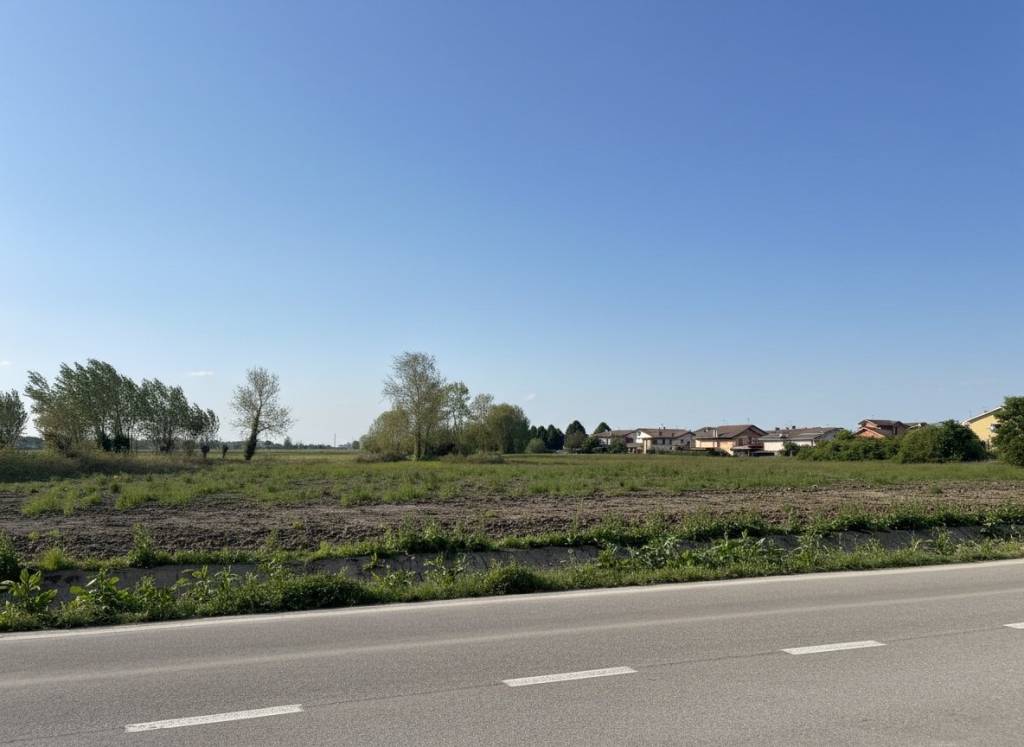immagine annuncio 7 di 8