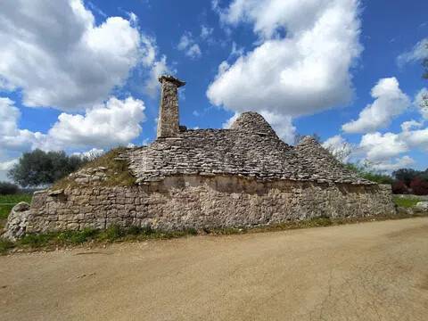 immagine annuncio 3 di 11