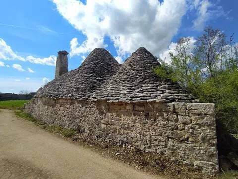 immagine annuncio 4 di 11