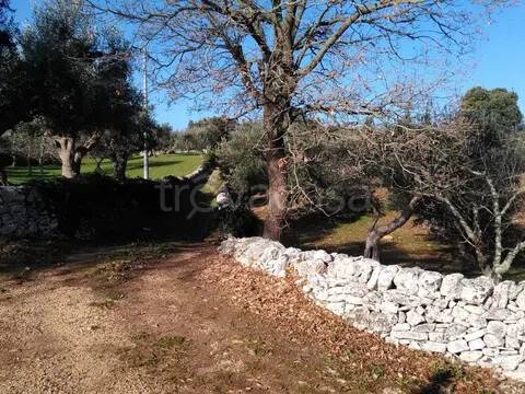 immagine annuncio 3 di 7