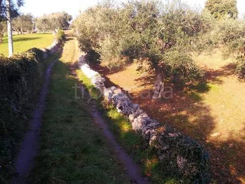 immagine annuncio 4 di 7