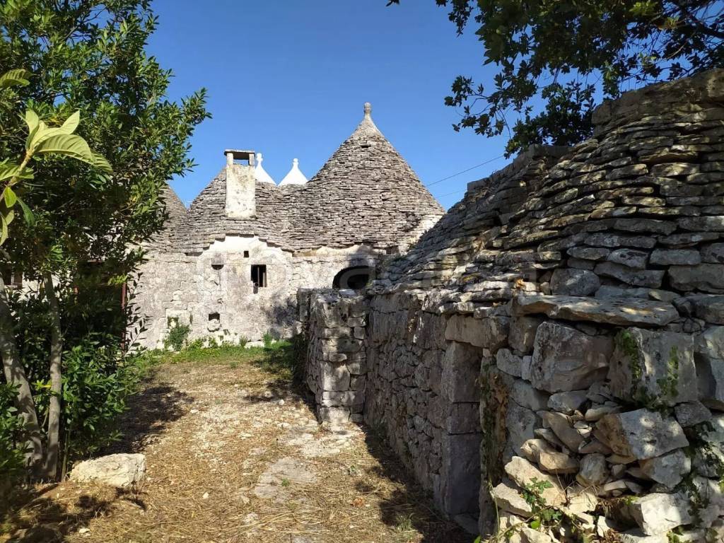 immagine annuncio 1 di 8