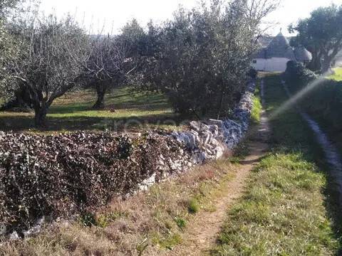 immagine annuncio 5 di 7